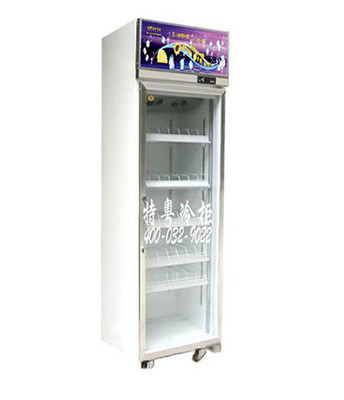 上海连锁便利店饮料冷藏展示柜选型指南 特粤冷柜的高效保鲜与场景应用
