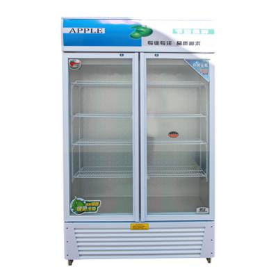 商用展示柜立式冰柜冰箱 啤酒饮品冷藏保鲜柜的核心之选